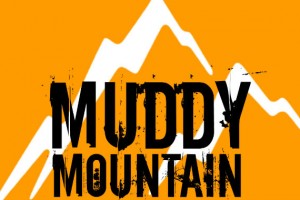 Muddy Mountain Logo - Orange