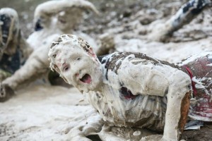 wolf run feature