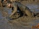 Tough Mudder – London South (Saturday)
