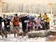 Tough Mudder ? Cheshire/North (Sunday)