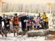 Tough Mudder ? Cheshire/North