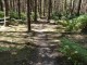No Ego Trail Challenge ? Yorkshire