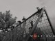 The WOLF Run (Sunday) – Midlands