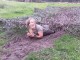 Mud Rush – Scotland