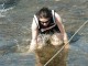 Honiton Hippo – Honiton, Devon