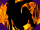Stunt Challenge (Saturday) – Wycombe