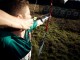 Red Bull Robin Hood – Obstacle-teering?