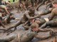Tough Mudder – London West (Sunday)