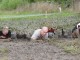 Yorkshire Mud Run ? Leeds