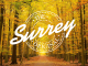 The Maverick Original Trail Run – Surrey